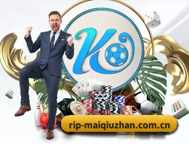 赛事数据与深度分析